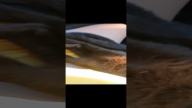 04-12-2024