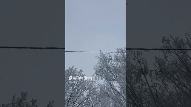 Хорошего всем настроения
