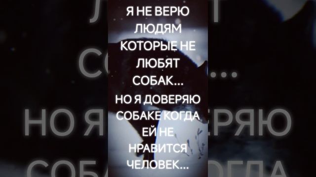 https://youtube.com/@yyuh-j9y?si=BdqrI1tqQKXZ8N67
