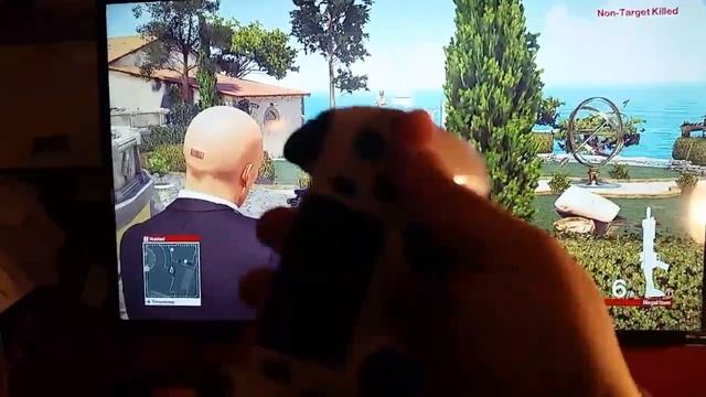 Hitman freeze up?