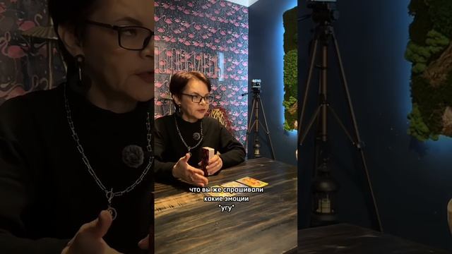 Что ждет на новом месте