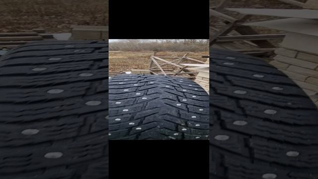 1000019053.mp4