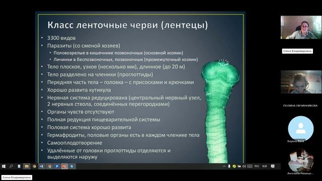 8 класс_4.12_9_сосальщики_ленточные