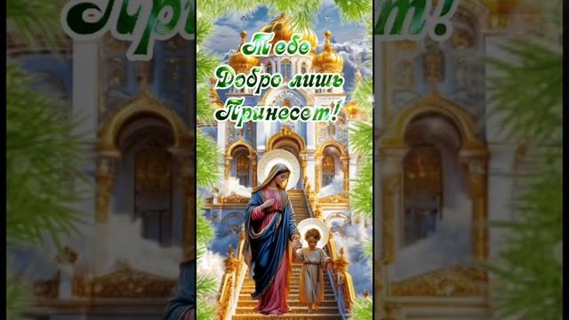 Поздравляю с введением в Храм Пресвятой Богородицы 🙏🙏🙏