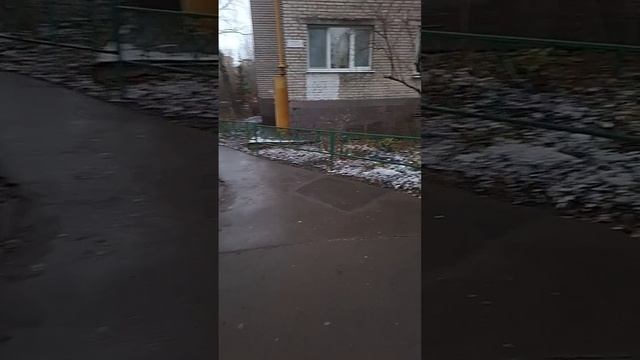 scene_output.mp4