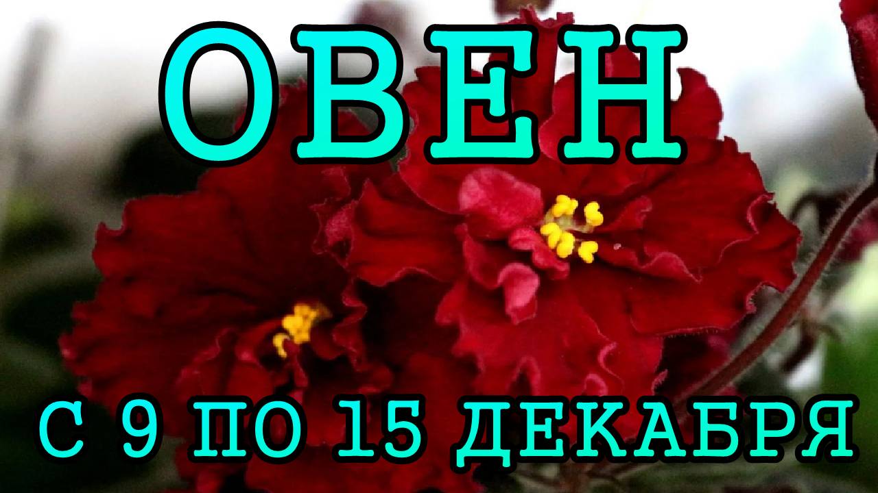 ОВЕН таро прогноз на неделю с 9 по 15 ДЕКАБРЯ 2024 года.