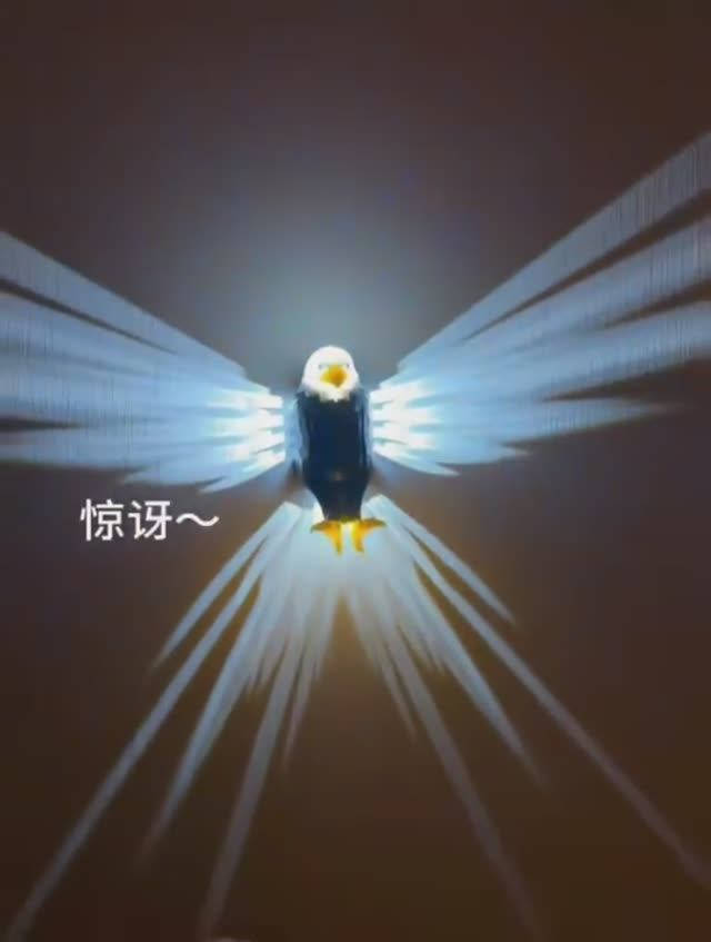 Ночник орел