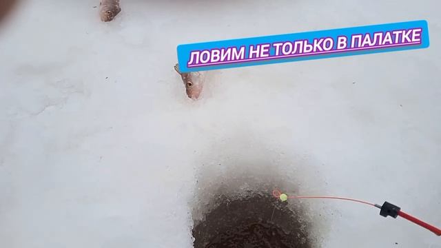 Мы вернулись на 👉👉👉это 👍👏😆озеро.