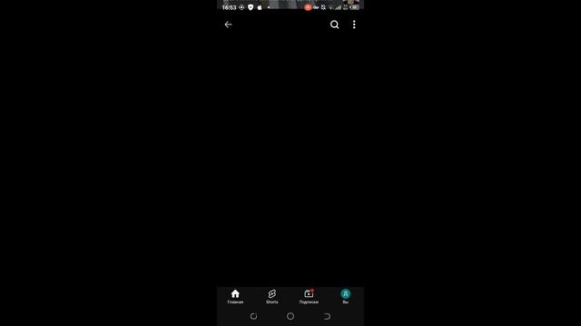 screen-20241204-165525.mp4