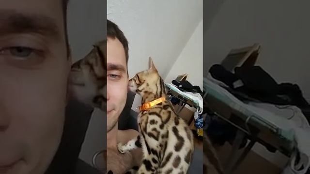 Боня - кошечка и Никита