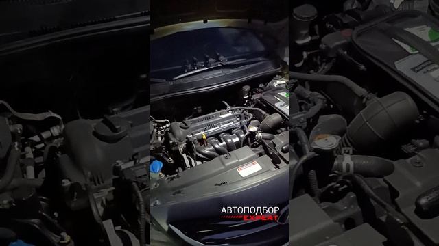 1000538089.mp4