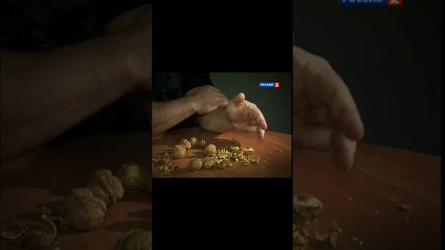 scene_output.mp4