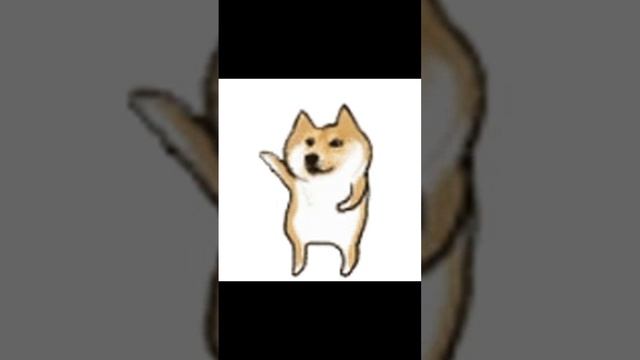scene_output.mp4