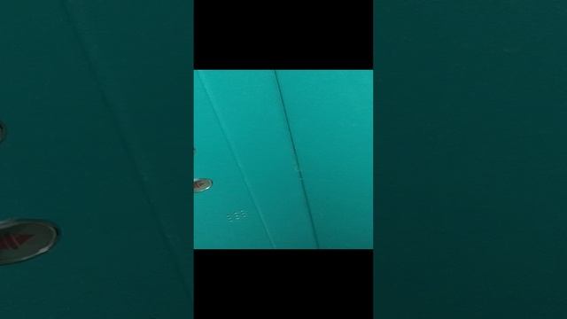 1000237791.mp4