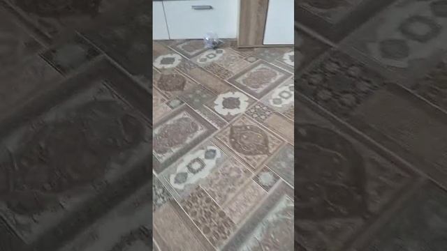 1000019109.mp4
