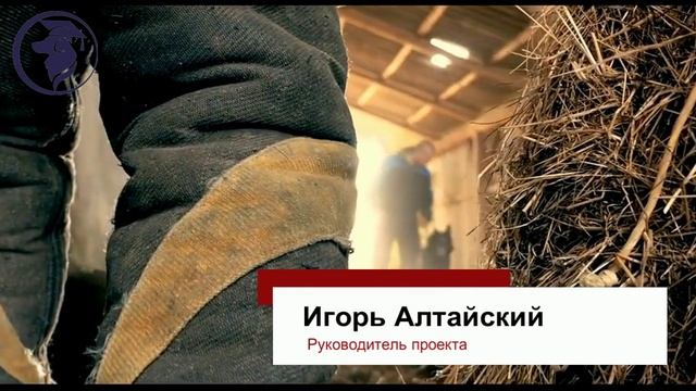 Собака Телохранитель от Игоря Алтайского