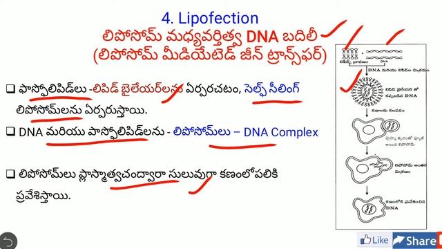 Gene delivery- Chemical methods