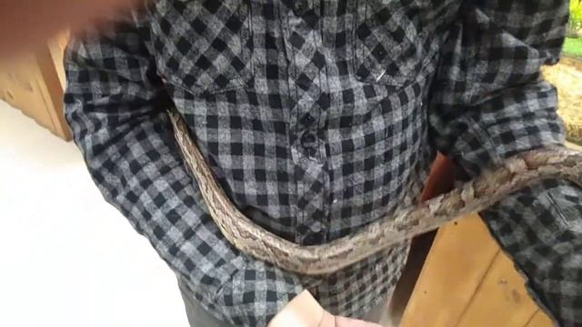 ПОЛОЗ