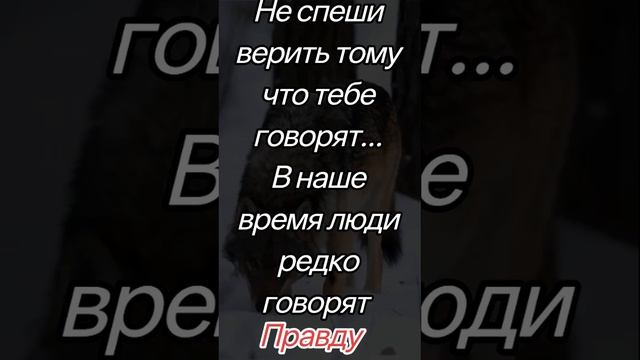 https://youtube.com/@yyuh-j9y?si=BdqrI1tqQKXZ8N67