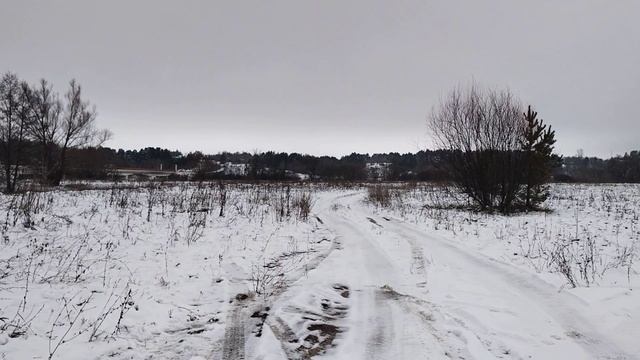 между селом и поселком Чаадаевка.