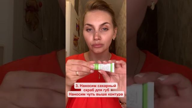Губки