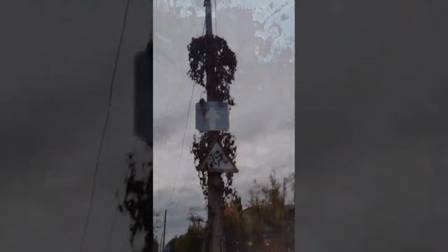 Дождь в ноябре