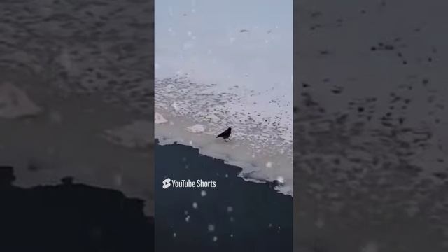 Возраст это состояние души, конфликтующее с телом иногда