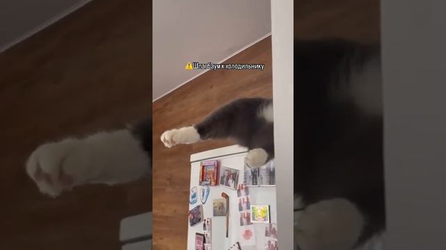 ХихиЧпок юмор