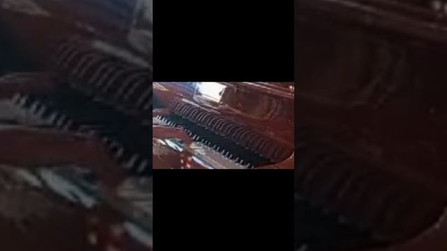 К Элизе