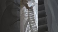 Производство одежды сцены