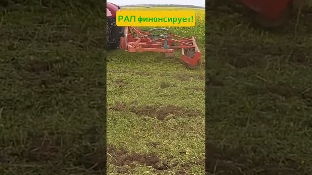 Измельчитель и глубокрыхлитель  Kverneland с трактором Case на заделке горчицы. Финансирование от Ро