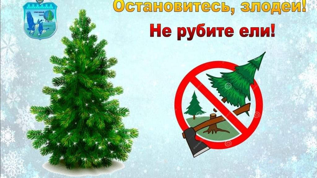 НЕ ВЗДУМАЙТЕ УБИВАТЬ ЕЛКУ