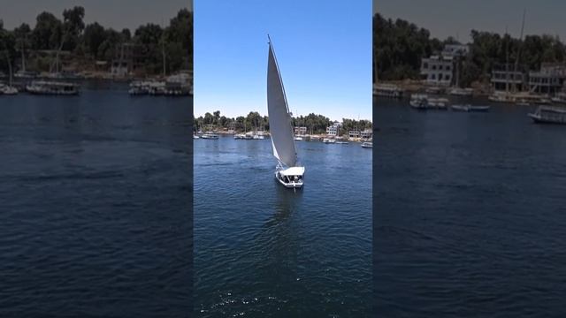 Веселая Фелукка (парусная лодка) на Ниле