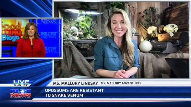 Ms Mallory discusses Opossums in San Diego