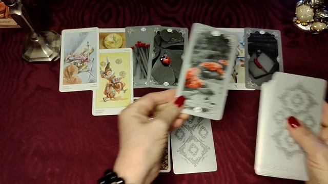 КАРТА ДНЯ НА 5 ДЕКАБРЯ, ЧЕТВЕРГ