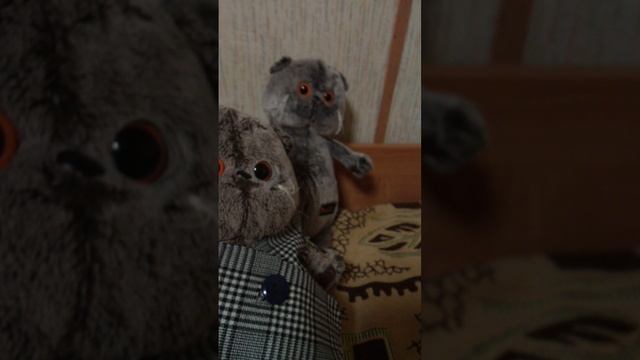 Вопрос - ответ с басиками! 😎😎🤣