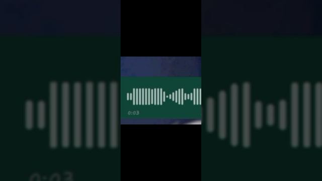 1000016575.mp4