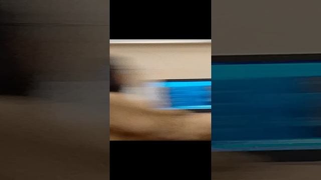 шиза