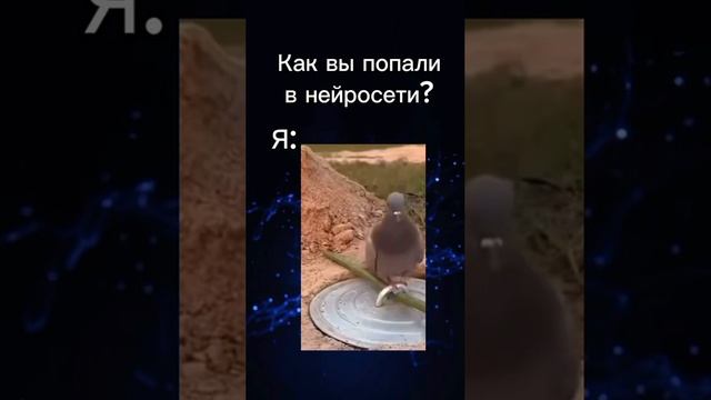 Решил начать заниматься нейросетями? Тогда обратной дороги уже не будет!