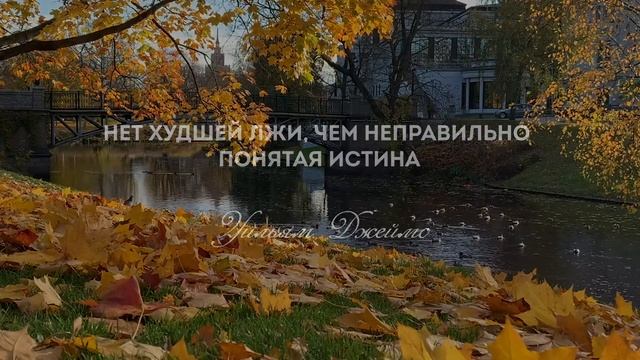 Лучшие Цитаты Известных Психологов
