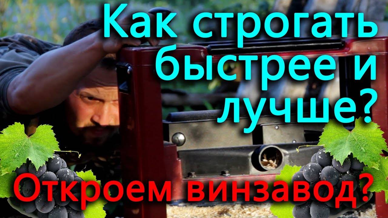 Начало знаменитых виноградников Блогеровки. Эксперимент с леской для триммера.
