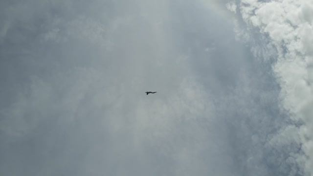 Су-30 в небе