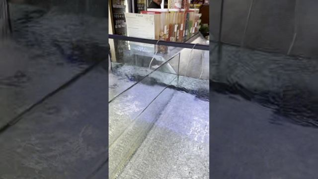 Аквариум витрина для Раков