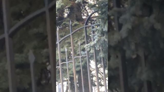 А вы отгадали?