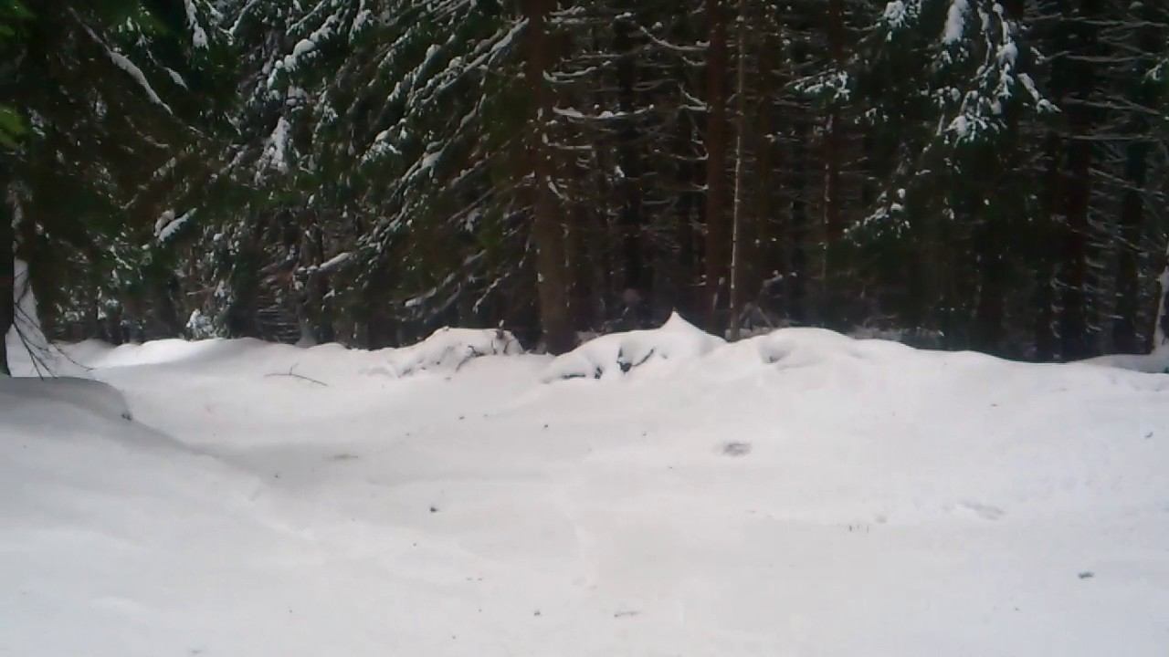 Буковель