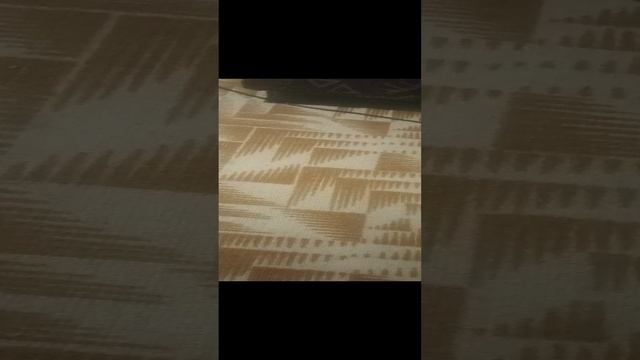 1000000260.mp4