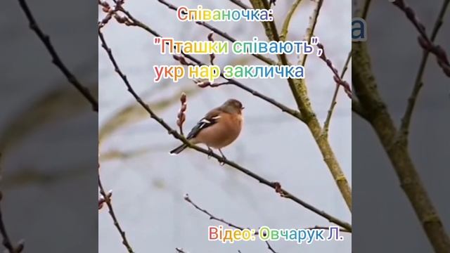 Весна. Заняття: "Весну зустрічаємо - танцюємо, співаємо!". Середня група