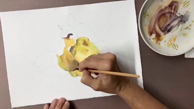 Айва акварелью
