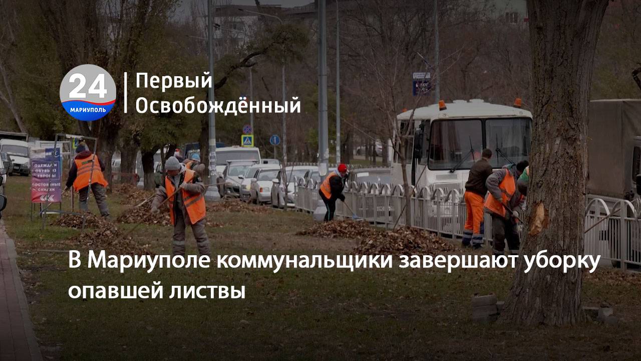 В Мариуполе коммунальщики завершают уборку опавшей листвы.  04.12.2024