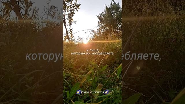Важность развития в высоких вибрациях ☀️✨ t.me/tarot_healing